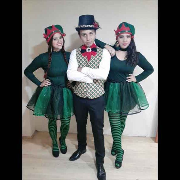 grupos navideños para novenas y villancicos bogota