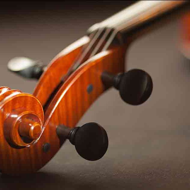 VIOLINISTA VIRTUAL VIOLINISTA VIRTUAL